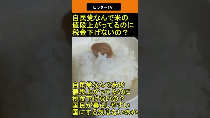 自民党 なんで米の値段上がってるのに税金下げないの？ 2025.06.04 ヒラターTV ショート #shorts