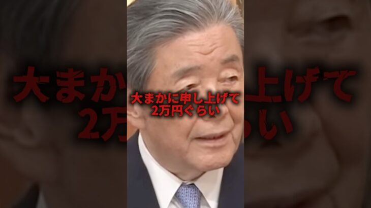 年間の食料品にかかる税は2万円らしい#shorts #政治