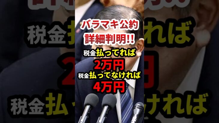バラマキ詳細判明！税金払ってなければ現金4万だよ！#政治 #shorts