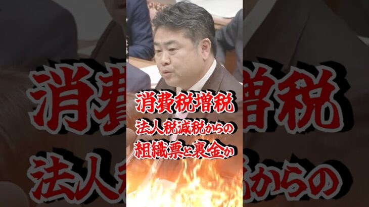 【暴露】消費税476兆円の7割が大企業へ還流⁉ #消費税廃止 #高井たかし #れいわ新選組