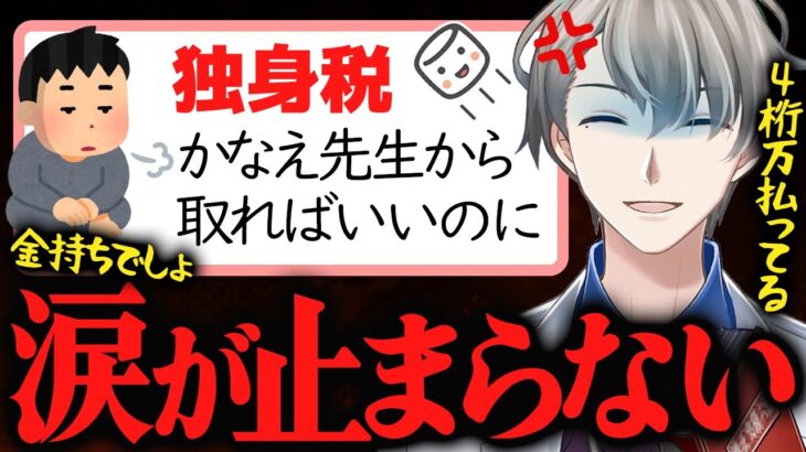 【独身税】税金は金持ちから取ればいい？4桁万円の税金をかなえ先生がきっちり払う理由【かなえ先生切り抜き】Vtuber
