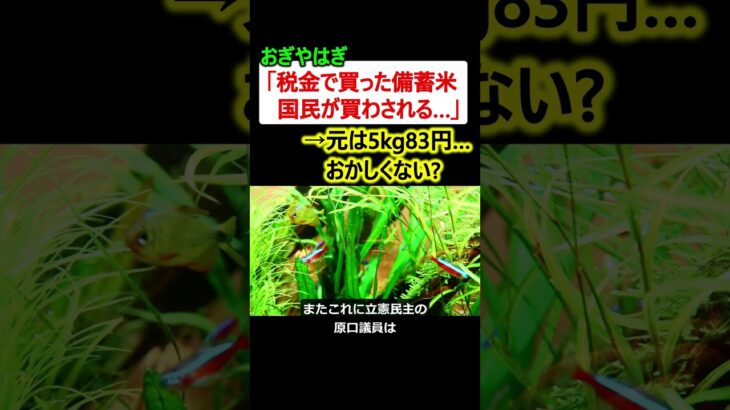 「税金で買った備蓄米を国民が買わされる」→元は5kg83円、おかしくない??