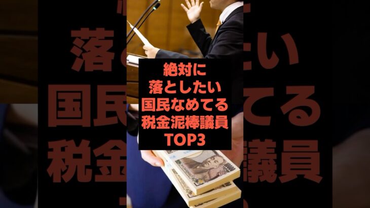 【税金ドロボー】あなたが知らない税金泥棒な議員ランキング#7月参院選#政治#参院選2025#shorts#国会議員