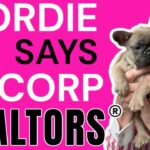 Example Saved $15,300! S-Corp Tax Savings for Realtor®️ Explained by CPA & Gordie the Frenchie