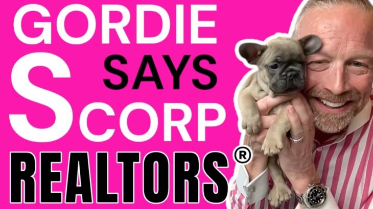 Example Saved $15,300! S-Corp Tax Savings for Realtor®️ Explained by CPA & Gordie the Frenchie