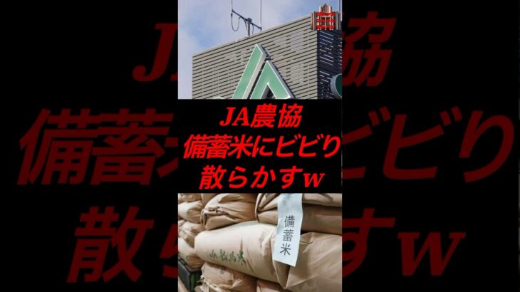 JA農協、備蓄米にビビり散らかすw #税金 #政治 #備蓄米 #農協