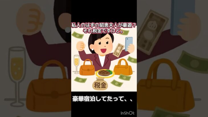 日本のファーストレディーに関する『法』トリビア #法律 #政治 #税金返せ #雑学 VOICEVOX:ずんだもん
