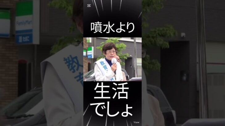私たちの #税金 は私たちのために #清水とし子 #jcp #日本共産党 #選挙 #東京 #お金 #子育て #日野 #節約 #増税 #都議 #モノレール #データセンター #神宮外苑 #小池百合子