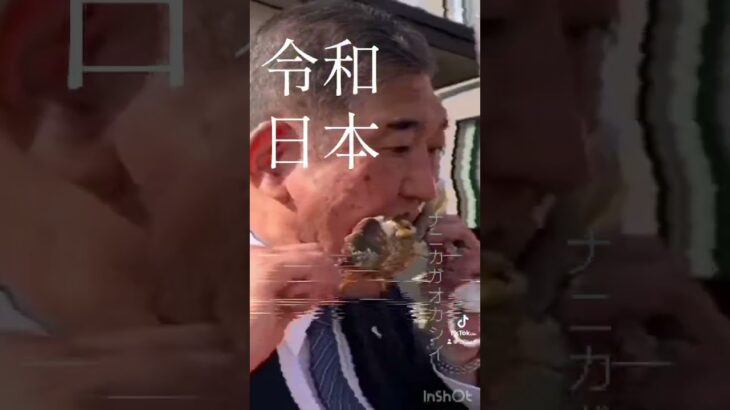 ナニカガオカシイ #売国政権 #所得税 #日本 #memes #税金 #ヒカキン #選挙 #ヒカマニ #アート #変なおじさん#騙されるな#おにぎり