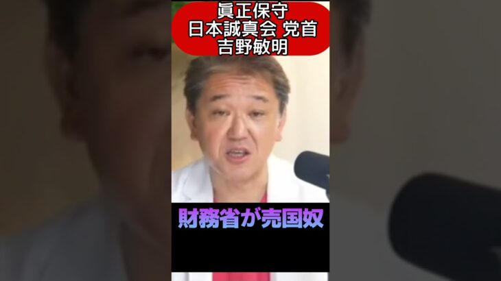 財務省は売国奴！税は財源じゃない！ #shorts #ショート #日本誠真会 #吉野敏明 #消費税