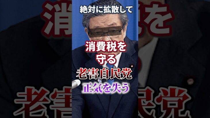 【消費税 減税】消費税を守る｜森山裕幹事長｜ 正気を無くす【給付金】自民党｜石破茂｜日本人ファースト｜参院選 #shorts