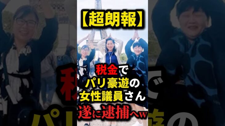 税金を無駄遣いした結果… #政治 #shorts