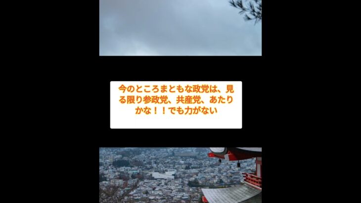 あなたのオススメ！？ #政党 #政治家 #国会議員 #裏金 #増税 #税金 #shorts #shortvide #short