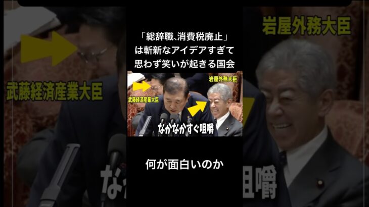 消費税廃止、総辞職の話をすると笑われてしまう国会　「これ見てムカついた」怒りの原口一博議員　#政治 #選挙 #自民党 #石破茂 #岩屋外務大臣 #原口一博 #立憲民主党 #国会 #消費税 #米