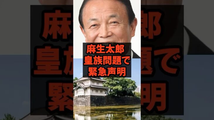 麻生太郎皇族問題に緊急声明　#石破総理 #自民党 #税金 #政治  #麻生太郎