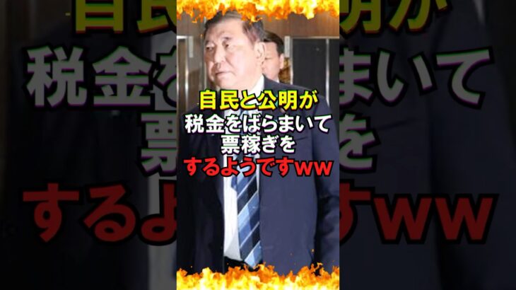 【ゆっくり解説】自民と公明が税金をばらまいて票稼ぎをするようですｗｗ #自民党 #石破茂 #小泉 #国民民主党 #政治