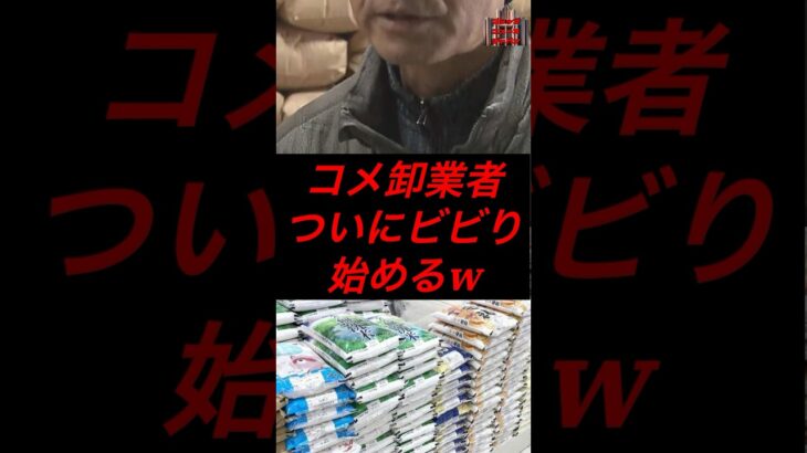 コメ卸業者、ついにビビり始める　#税金 #政治 #備蓄米