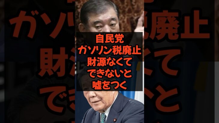 自民党ガソリン税廃止は財源なくてできないと嘘をつく #政治 #政治ニュース #参議院選挙 #石破茂 #物価上昇 #自民党 #物価高 #現金給付 #ガソリン税 #減税