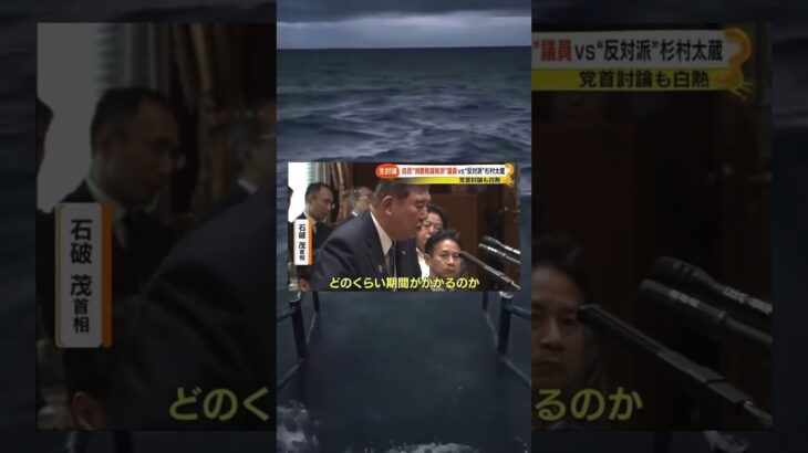 つまり減税できるってことだよね？ #石破茂 #税金 #消費税