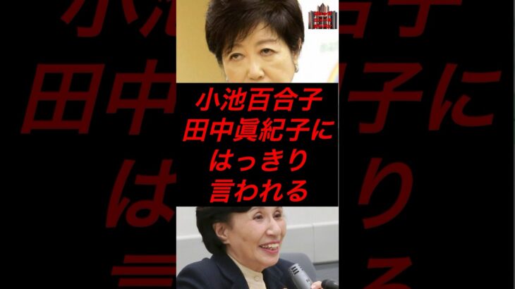 小池百合子、田中真紀子にはっきり言われる #税金 #政治 #自民党 #小池百合子