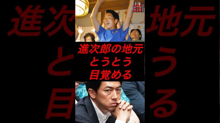 進次郎の地元、とうとう目覚める　#税金 #政治 #自民党 #小泉進次郎 #選挙