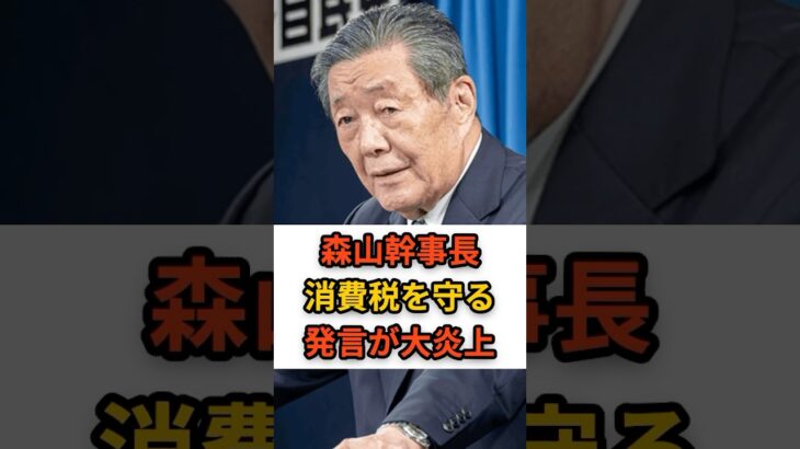 消費税を守ることで国民が豊かになる？ #自民党 #石破茂 #財務省 #森山幹事長