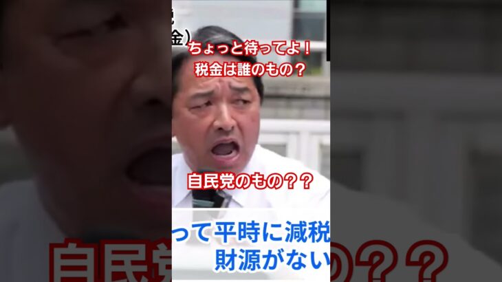 【税金は自民党のもの!?】バラマキ #榛葉賀津也 #税金  #自民党