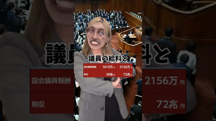 日本の政治家の税金や給付金がやばいので選挙に行こう　#政治 #税金 #給付金 #自民党 #選挙