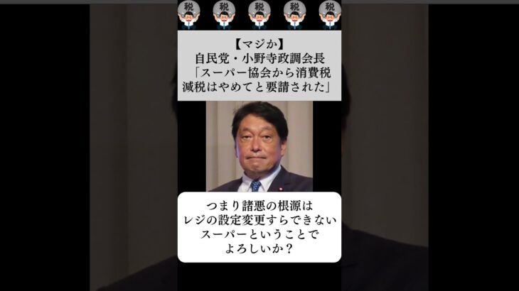 【マジか】自民党・小野寺政調会長「スーパー協会から消費税減税はやめてと要請された」…に対する世間の反応