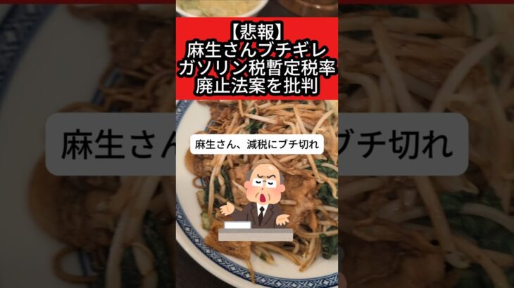 【麻生さんブチギレ】ガソリン税の暫定税率廃止法案を野党のパフォーマンスと批判