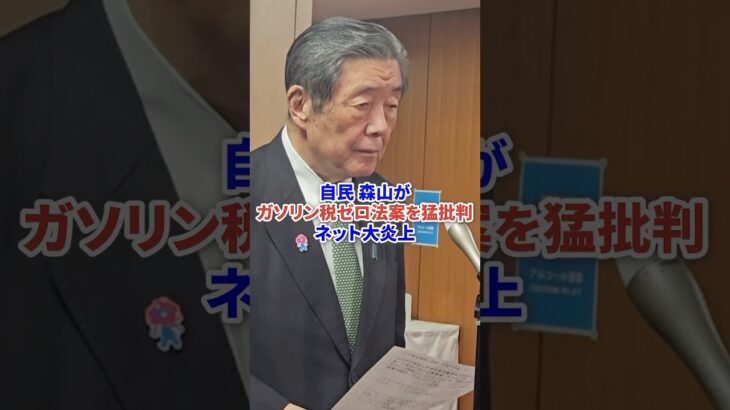 自民森山がガソリン税ゼロ法案を猛批判でネット大炎上 #時事 #自民党 #税金 #増税