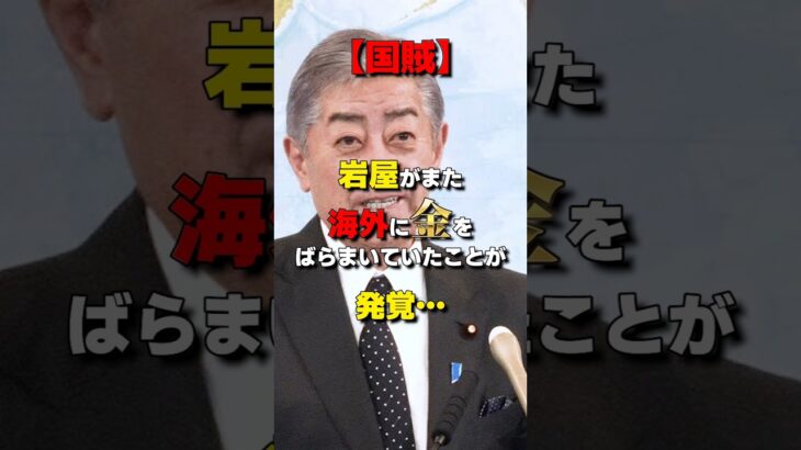 【また売国か】岩屋外務大臣が海外の刑務所に税金をバラまいていたことが発覚… #政治 #時事 #財務省 #消費税 #増税 #税金