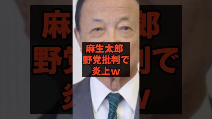 麻生太郎野党批判で炎上　#石破総理 #自民党 #税金 #政治  #麻生太郎