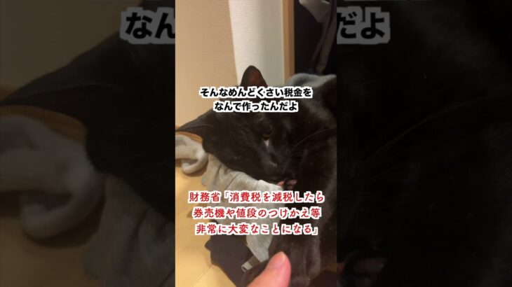 【激怒】財務省「消費税を減税した。券売機や値段変更で大変なことになる」