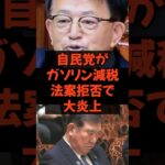 自民党がガソリン減税法案拒否で大炎上 #石破総理 #自民党 #税金 #政治  #ガゾリン減税
