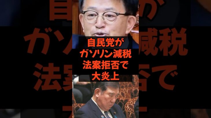 自民党がガソリン減税法案拒否で大炎上 #石破総理 #自民党 #税金 #政治  #ガゾリン減税