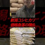新潟コシヒカリ、価格急落の理由　#政治 #税金 #自民党 #備蓄米