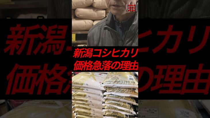 新潟コシヒカリ、価格急落の理由　#政治 #税金 #自民党 #備蓄米