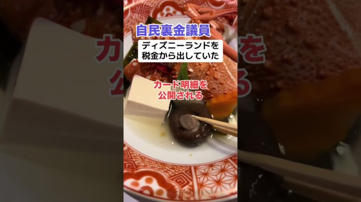 自民議員「税金でディズニー行ってました」