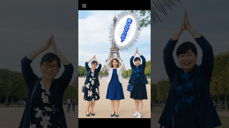 まだやるんか？姉さんとパリの付き人 #政治 #税金の使い道 #視察問題