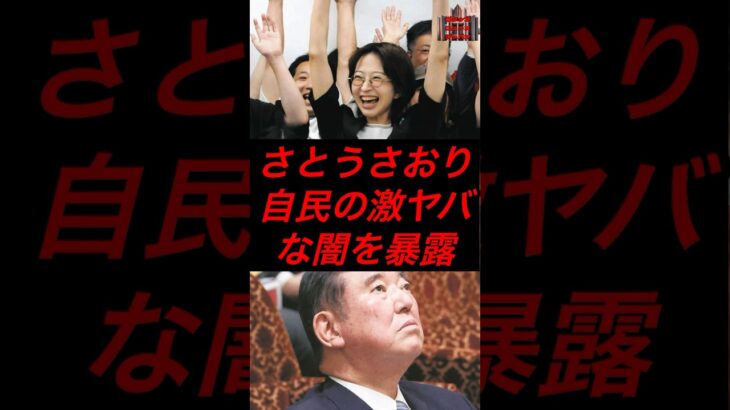 さとうさおり、自民党の激ヤバな闇を暴露　#政治 #税金 #自民党 #石破 #さとうさおり