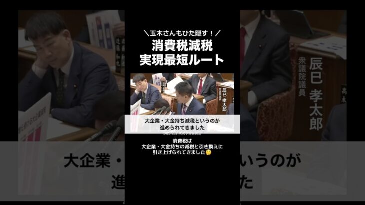 【消費税減税】実現最短ルートはこれだ！
