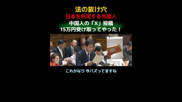 【莫大な税金】外国人に支払われた給付金額【法の穴】#給付金 #外国人 #中国