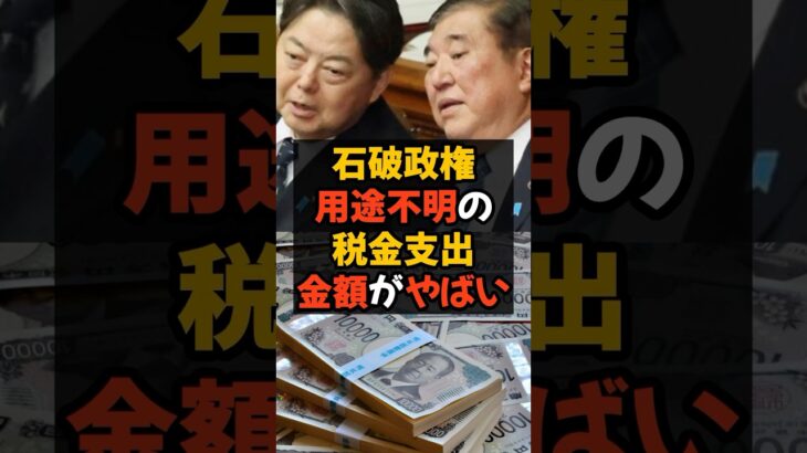 石破政権 用途不明の税金支出金額がやばい