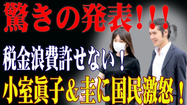 【税金泥棒!?】帰国願望を語る小室眞子＆圭に怒りの声が止まらない！