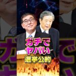 【裏切り】自民党ガチでやばい選挙公約　#石破茂 #政治 #ニュース #税金