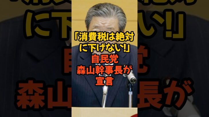自民党「消費税は下げない」宣言 #消費税 #自民党 #政治 #税金 #物価高