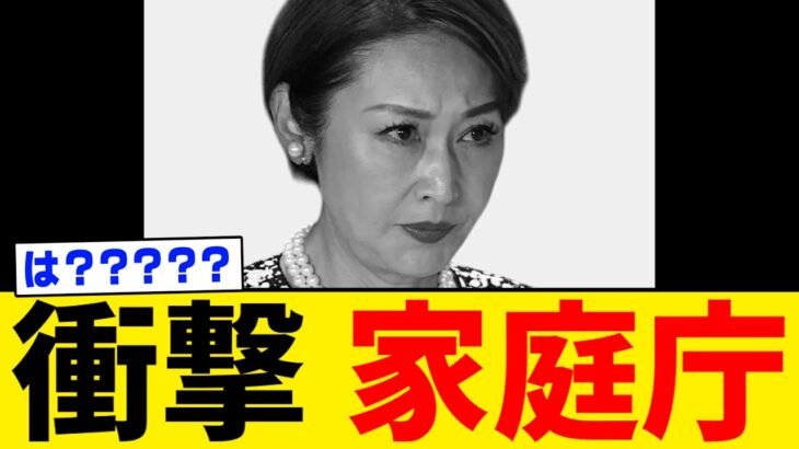 【超衝撃】こども家庭庁大臣、 “多額の税金”を的外れな少子化対策に投入し、国民騒然・・・。