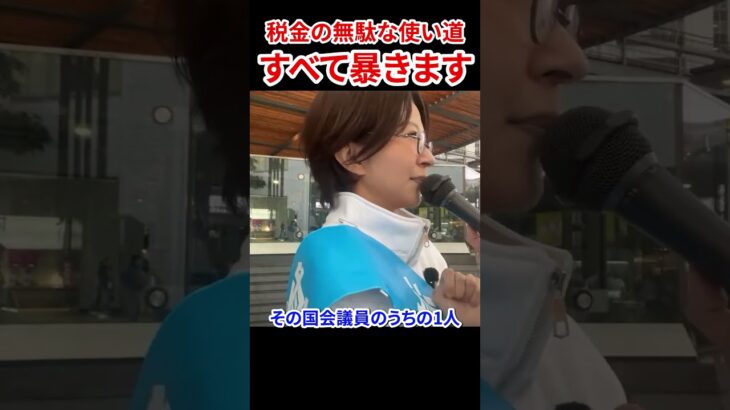 税金の使い道を白日の下に　#さとうさおり #減税党 #会計士 #有楽町