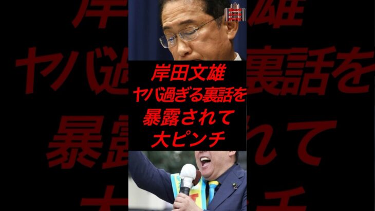 岸田文雄、ヤバすぎる裏話を暴露されて大ピンチ #税金 #政治 #自民党 #岸田文雄 #立花孝志